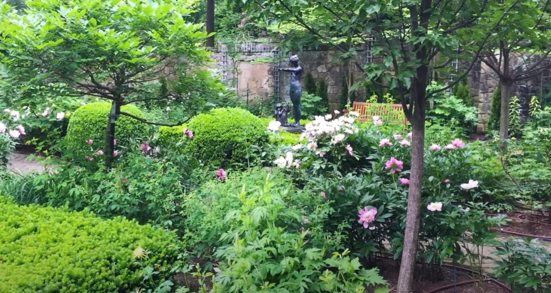 Complete landscape transformation showcasing seasonal blooms and mature tree care Lush garden sanctuary with flowering plants, mature trees, and decorative water feature